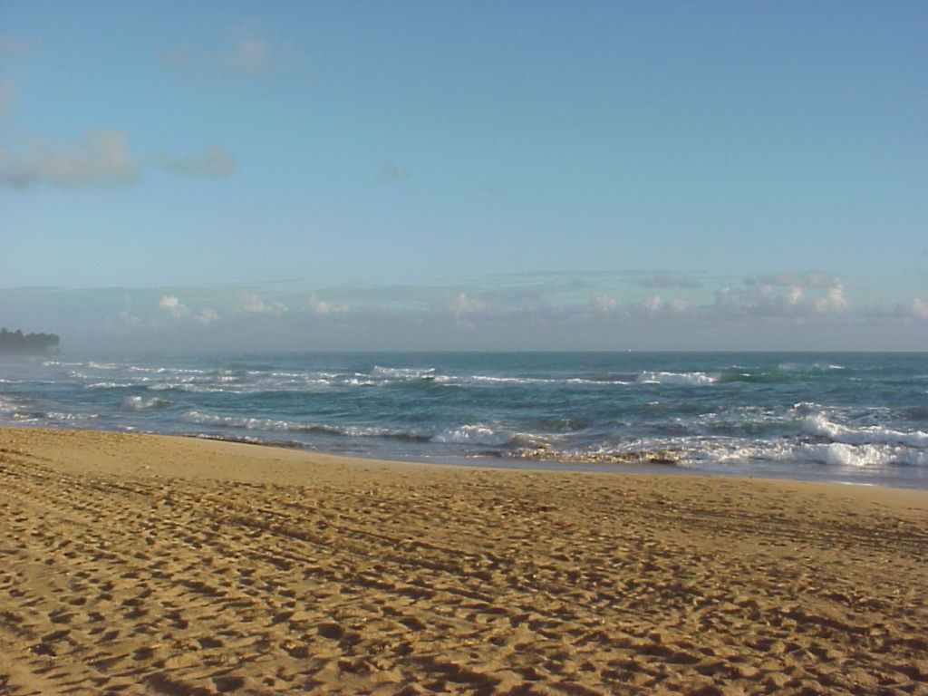 Dominican Republic Secrets 2003