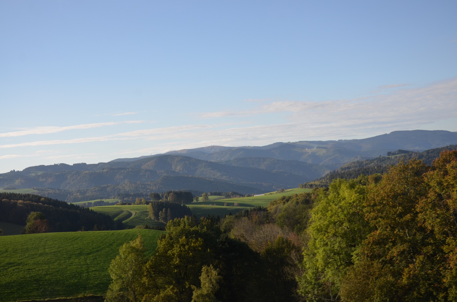 Breisach & Black Forest Germany