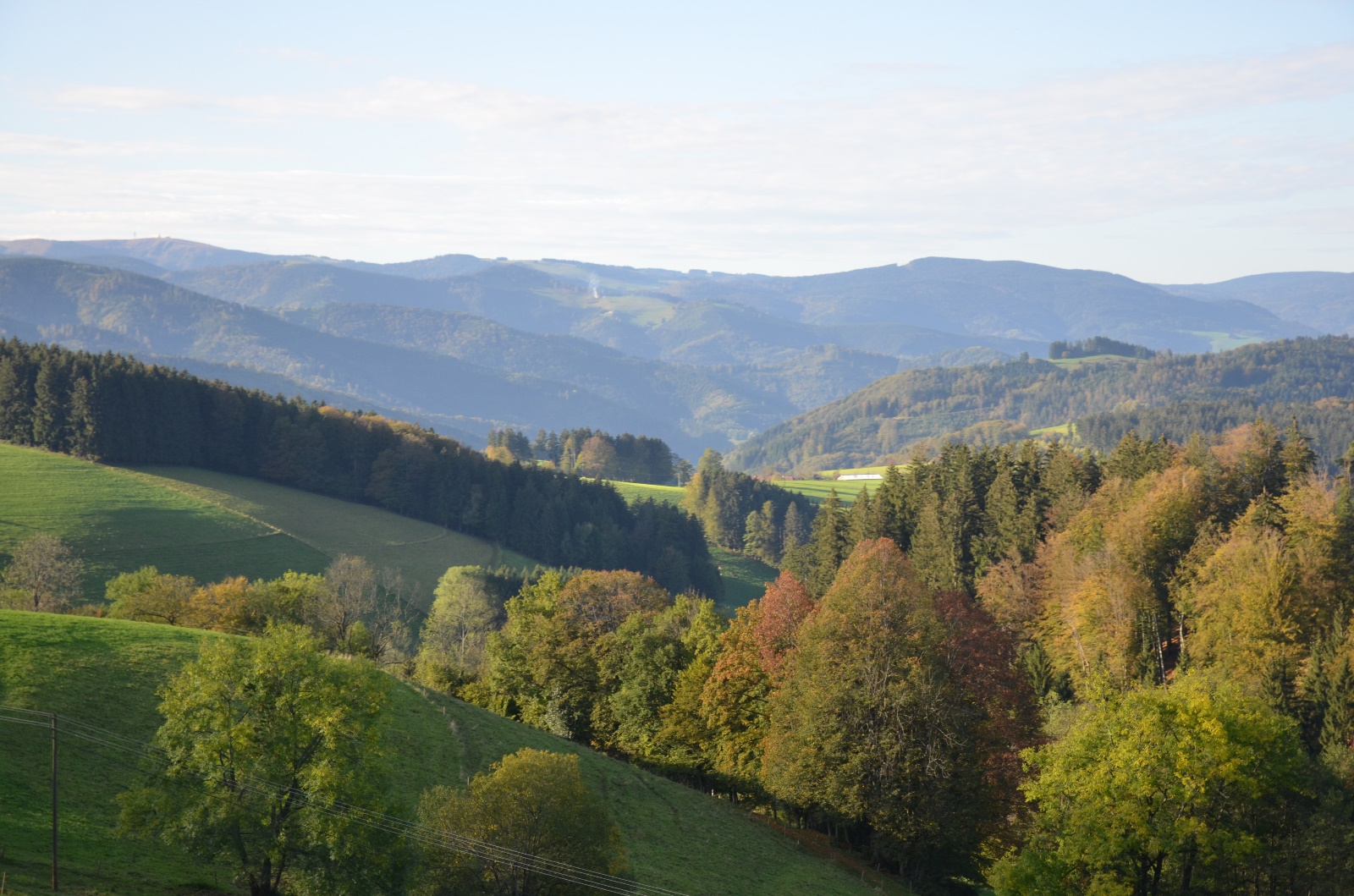 Breisach & Black Forest Germany