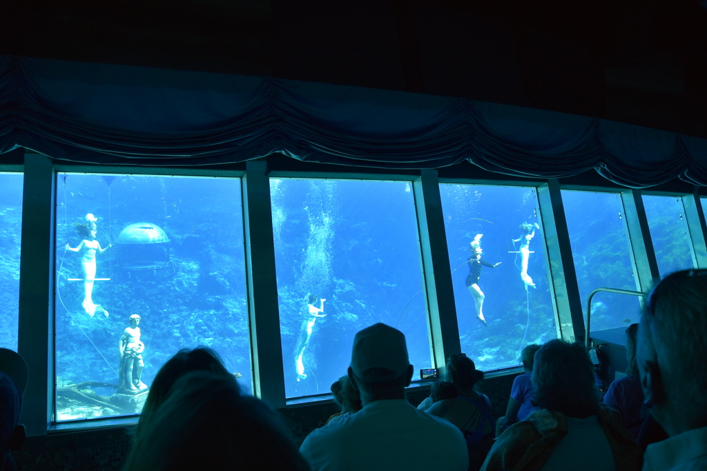 Weeki Wachee Springs State Park