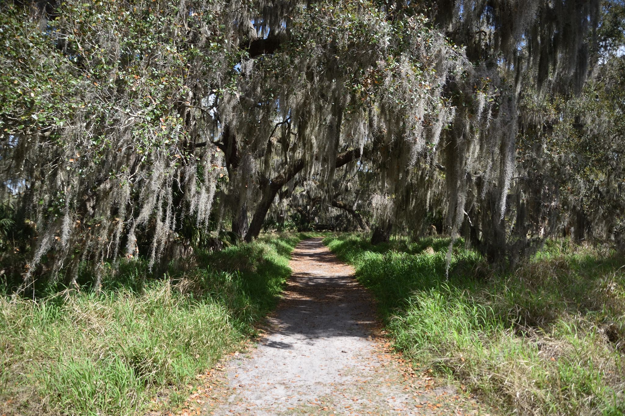 Circle Bar B Reserve - Lakeland Florida