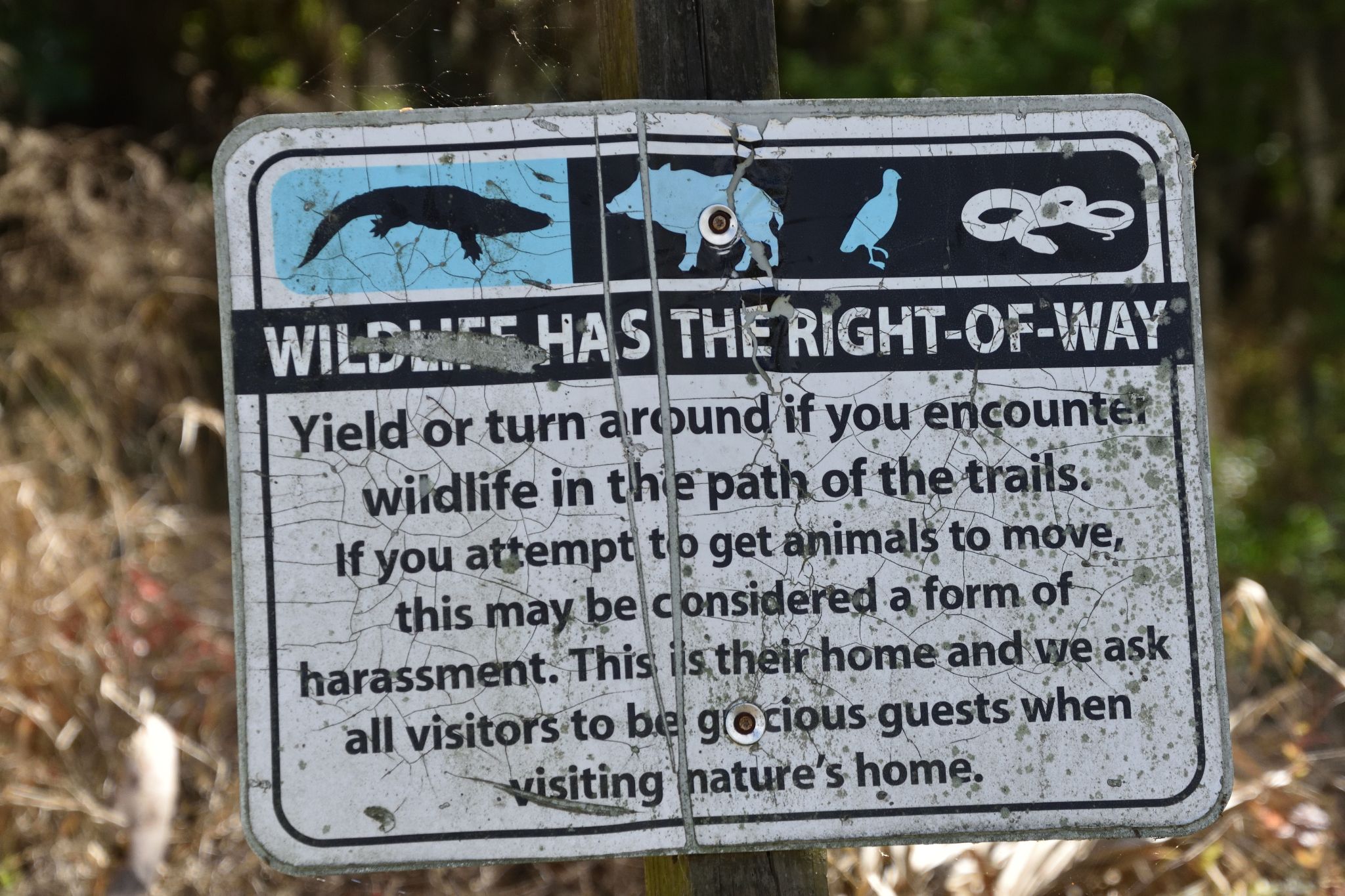 Circle Bar B Reserve - Lakeland Florida