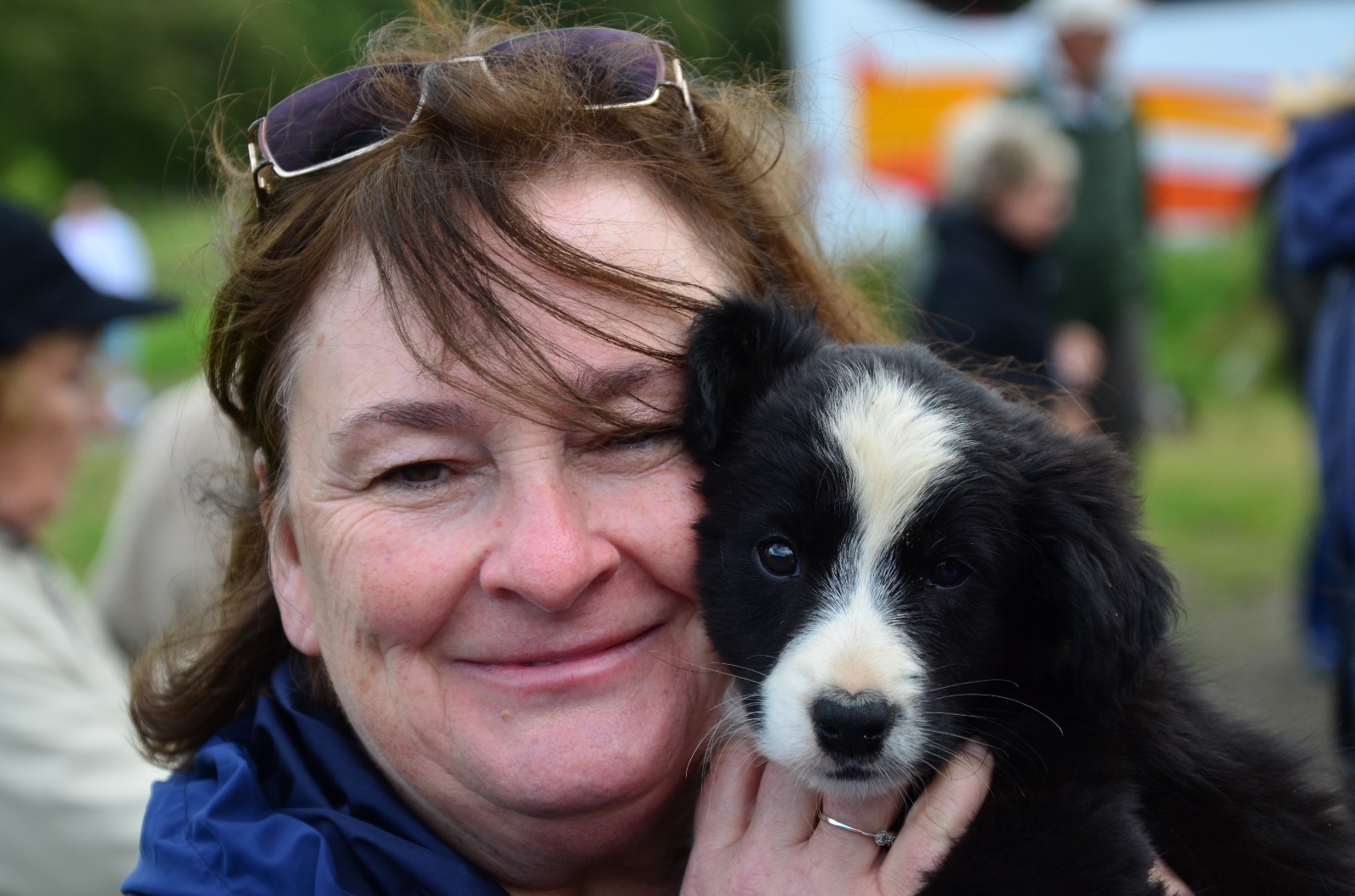 Sheepdog Demonstration