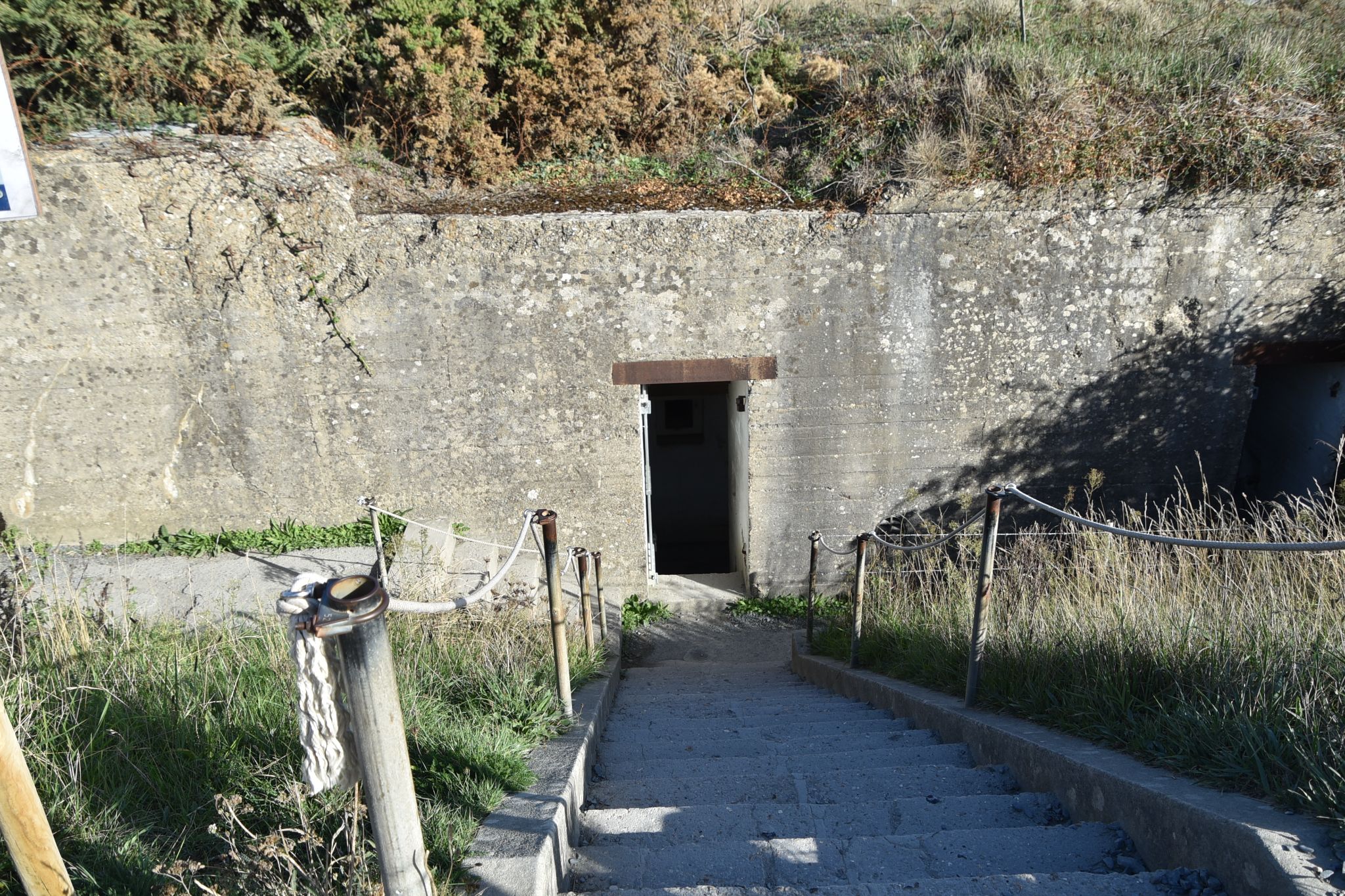 DSC 6556