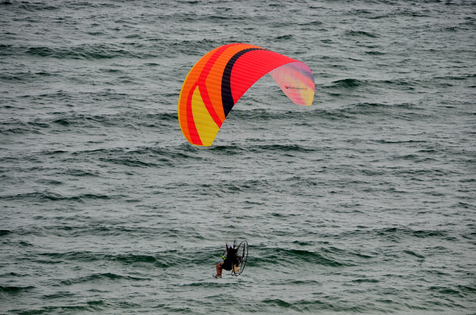 Paraglider