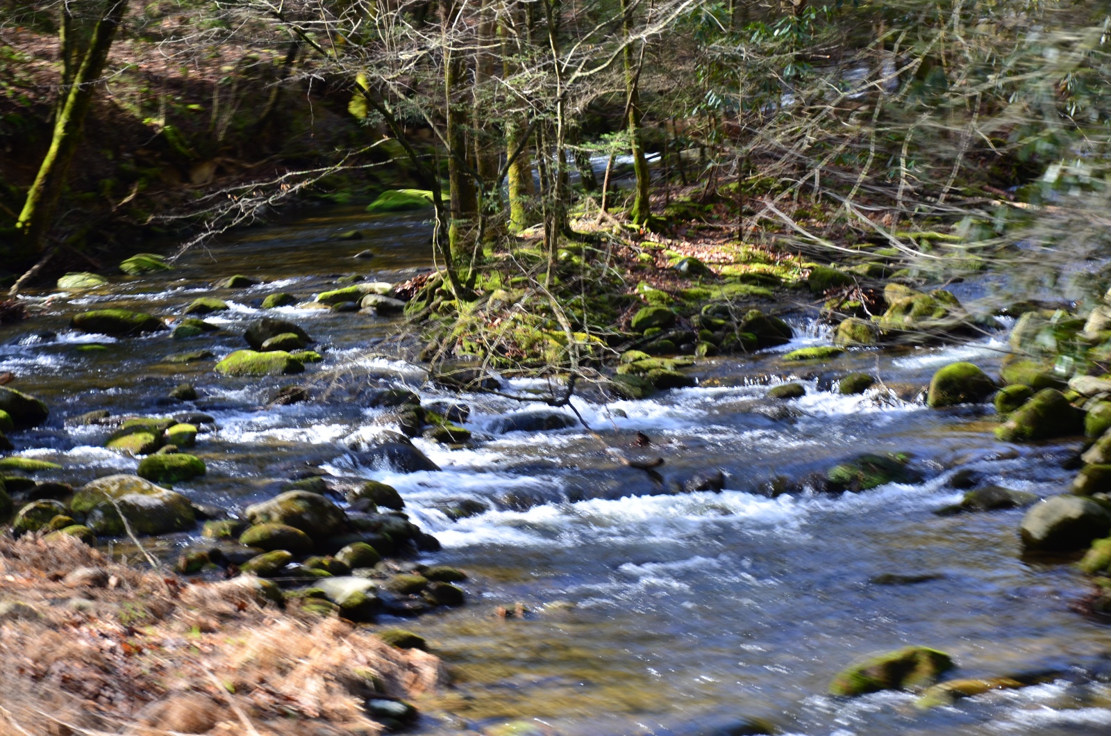 Smokey Mountains National Park, TN