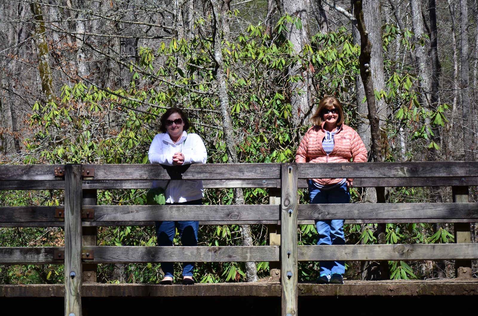 Smokey Mountains National Park, TN