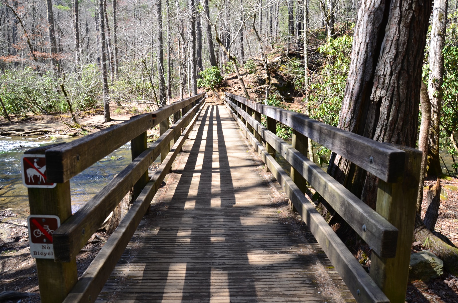 Smokey Mountains National Park, TN