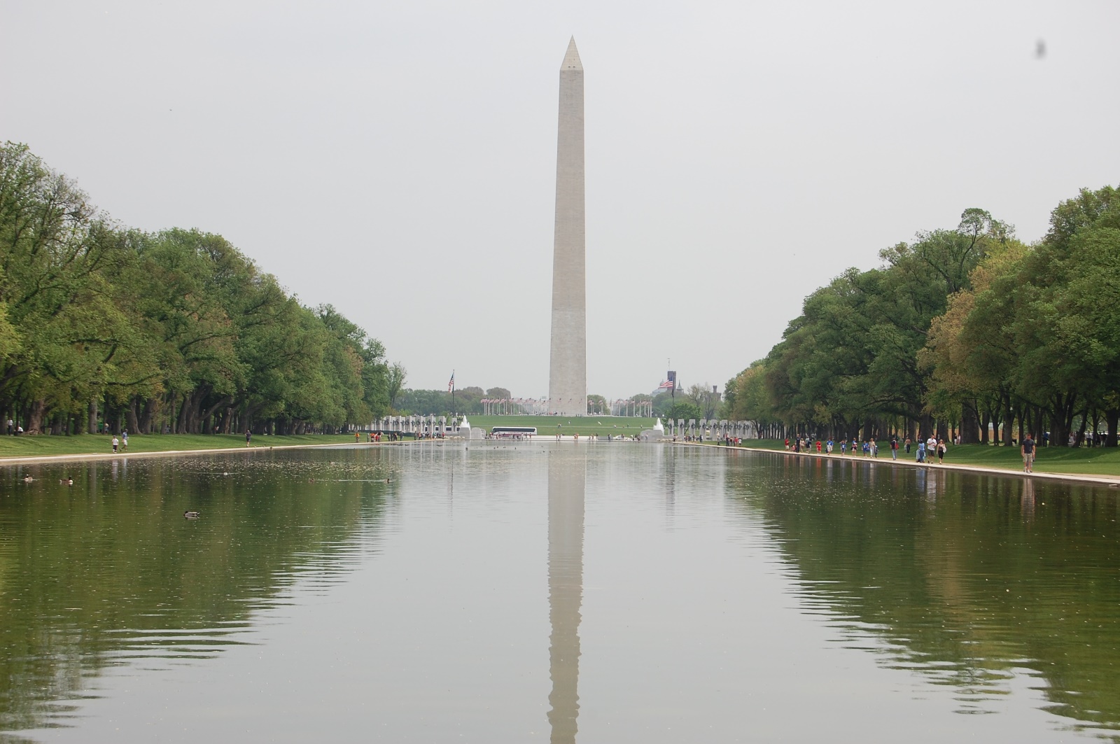 Washington DC 2008